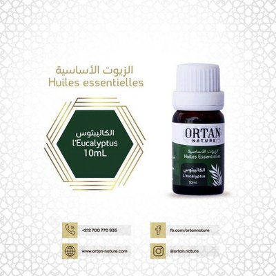 Huile Essentielle de l'Eucalyptus 10ml