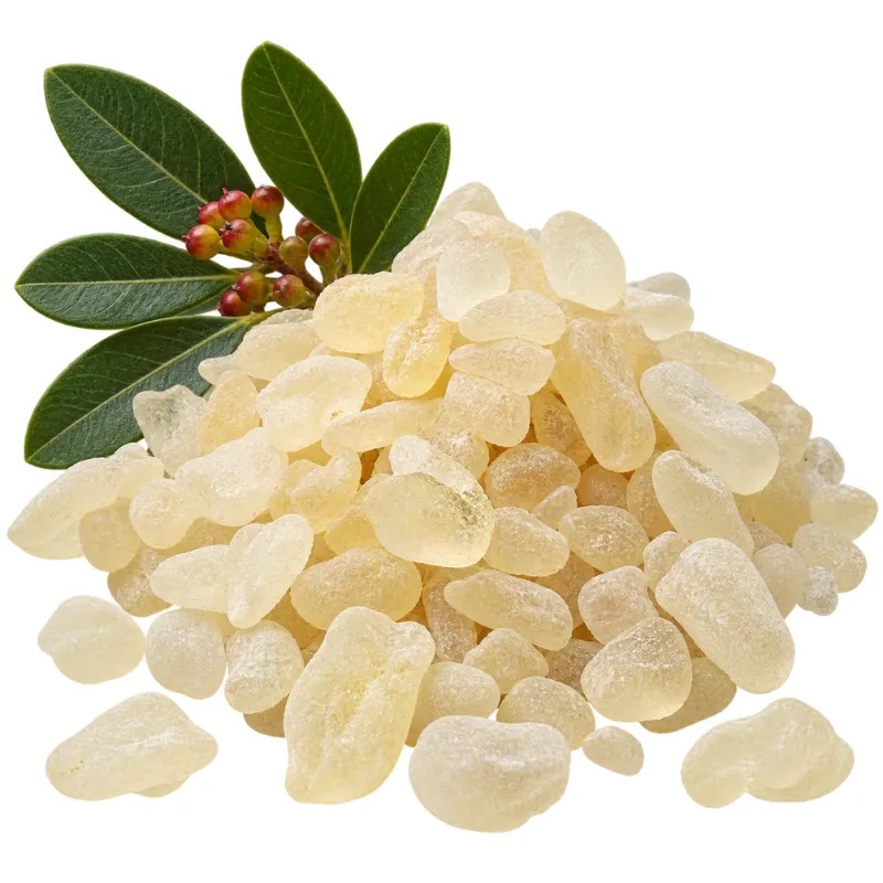 mastic grec maroc مستكة يونانية مسكة حرة
