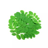 Moringa en poudre - vue 2